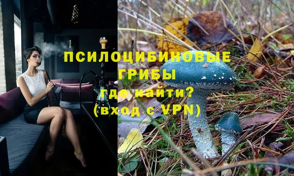 MESCALINE Лабытнанги