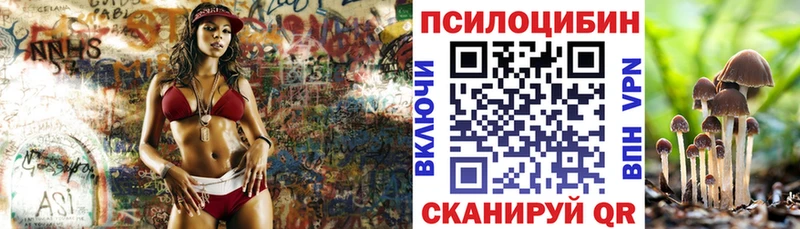 Купить закладки  Зуевка  Галлюциногенные грибы Magic Shrooms 